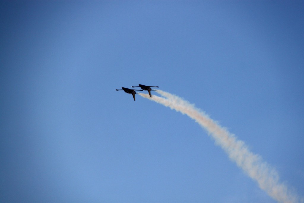 Baltic Bees dusk fligh