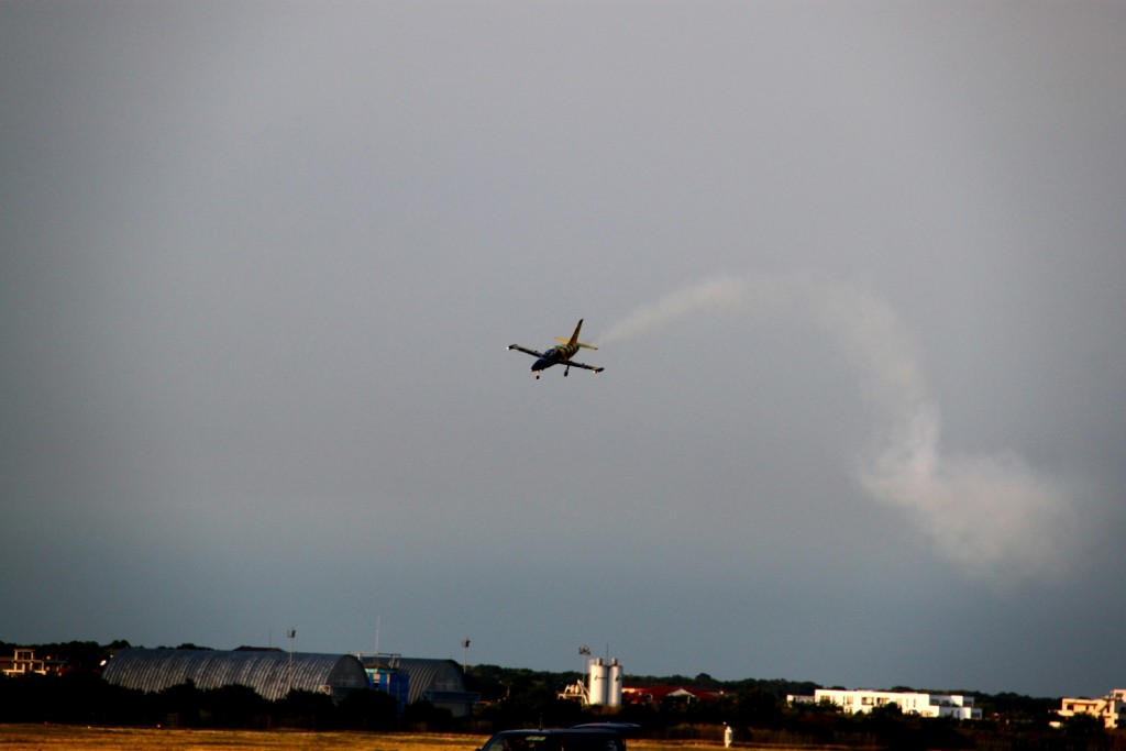 Baltic Bees dusk flight - crazy bee