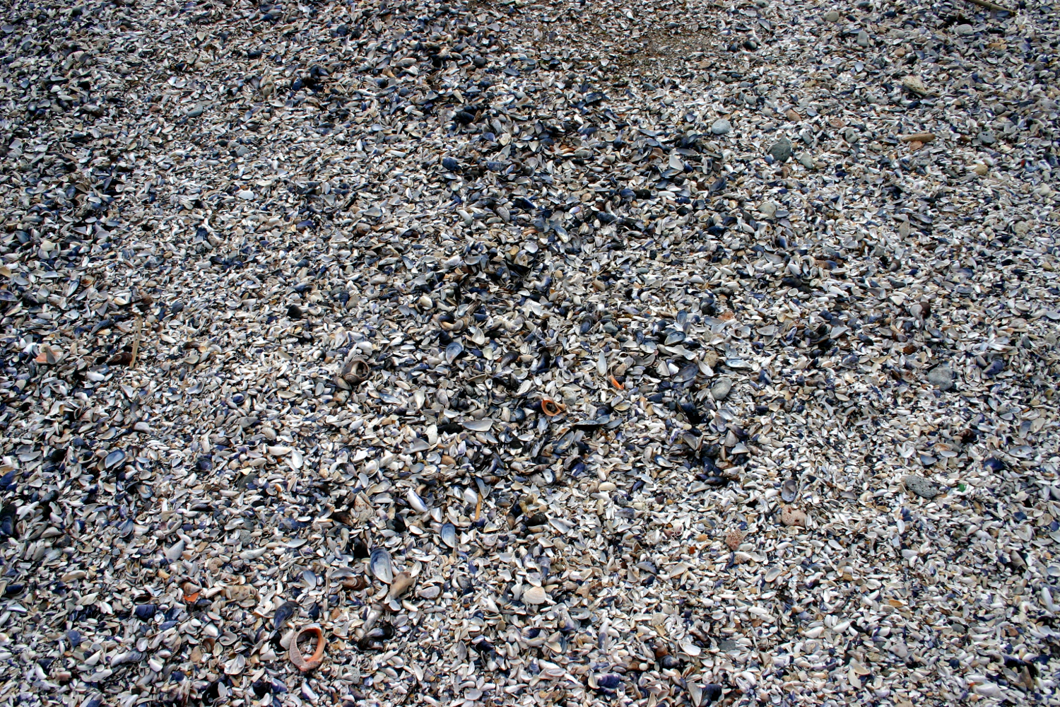 Black Sea - pebbles