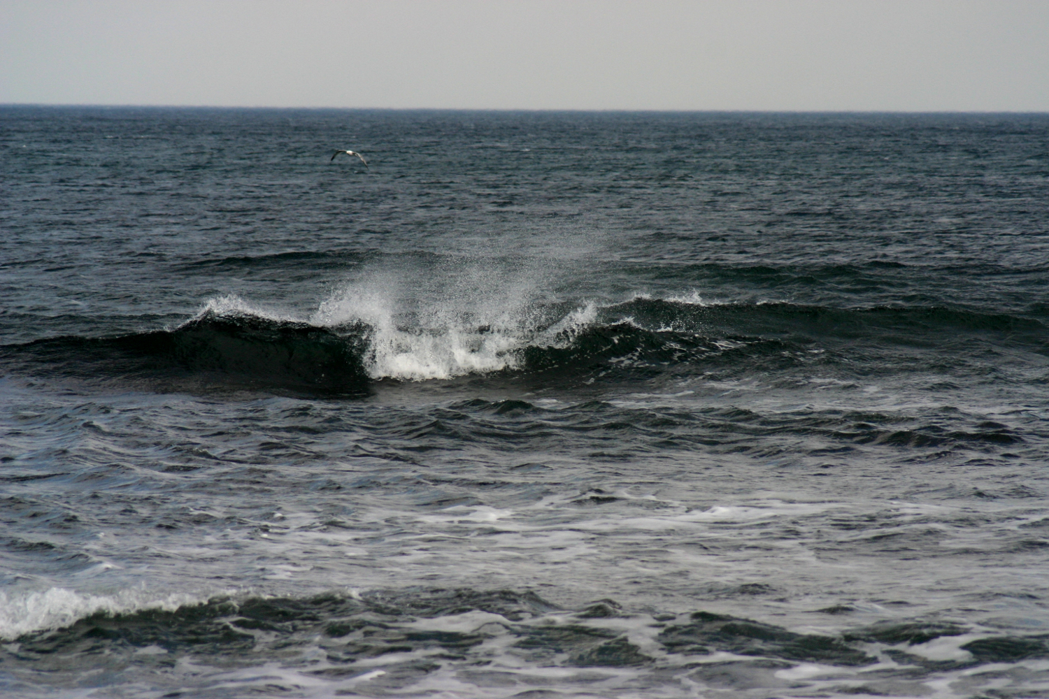 Black Sea waves