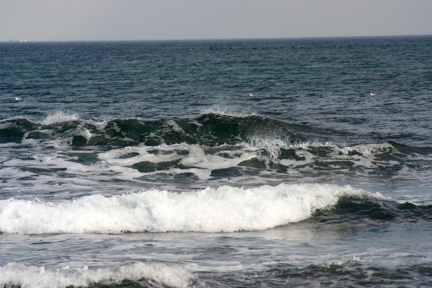 waves Black Sea