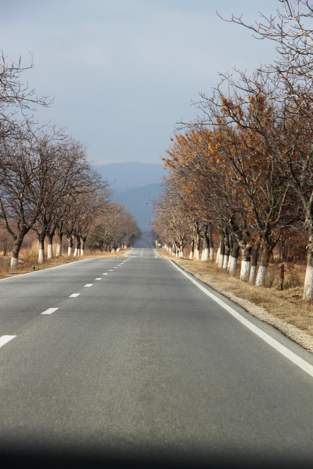 Road - winter, Gorj, Romania
