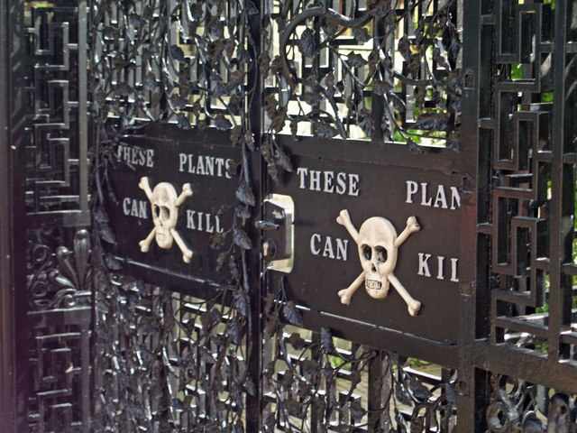 The Poison Garden, Alnwick Castle, UK