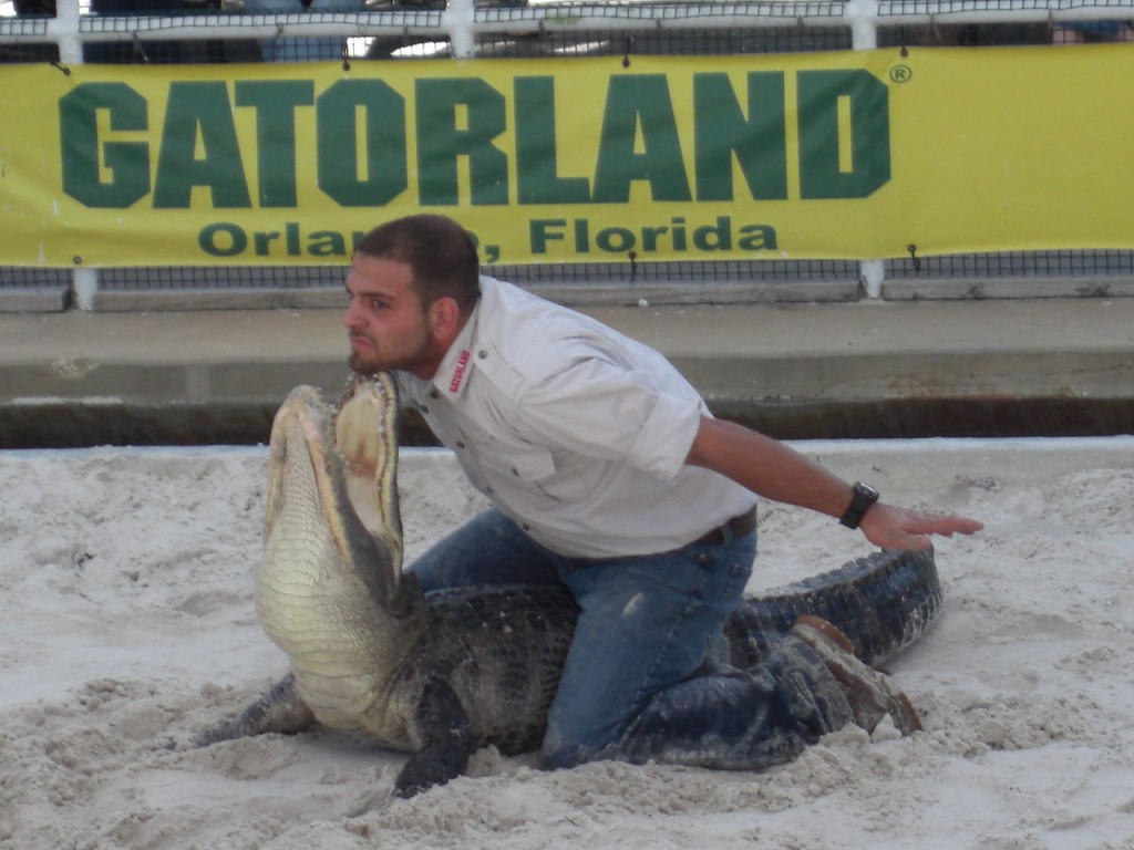 Gatorland