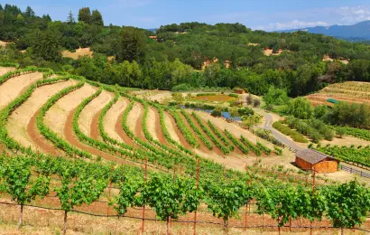 Stop Spending a Fortune on Napa Valley – This Nearby Historic Wine Region Lets You Walk Between Tastings and Experience World-Class Vineyards Without the High Fees or the Rush Between Stops