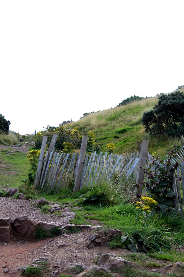 Arthur's Seat