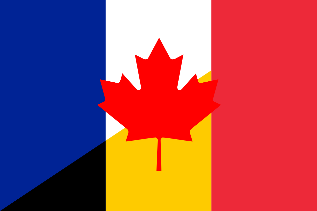 Flag of French language