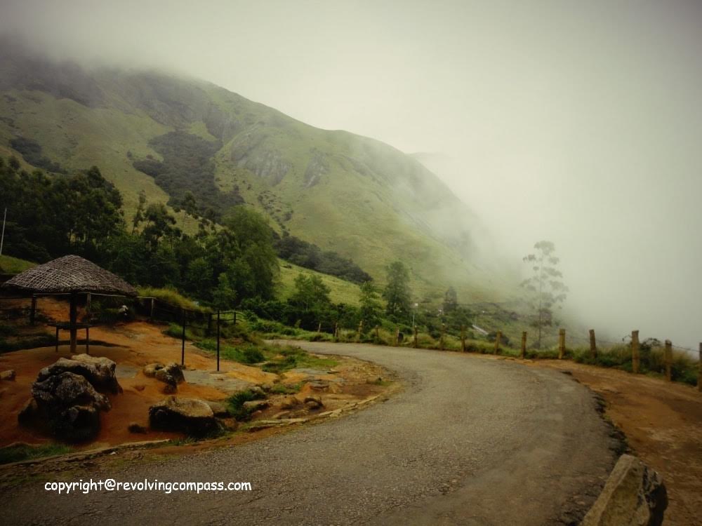 Munnar, Kerala, India - The best places to see in Kerala - A complete travel guide to Kerala