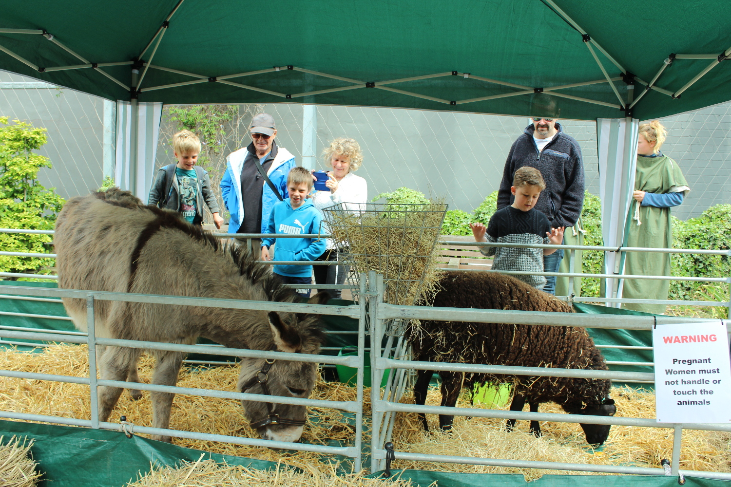 Livestock at the International Hanse Day event in Hull. Discover the best things to see and do in Hull, UK