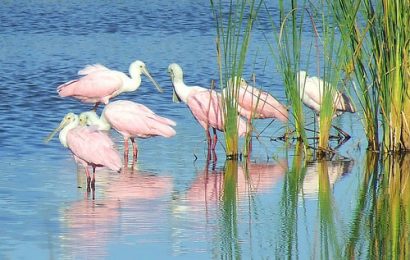 City Stories: Beach Spots on the Gulf of Mexico