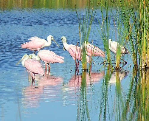 City Stories: Beach Spots on the Gulf of Mexico