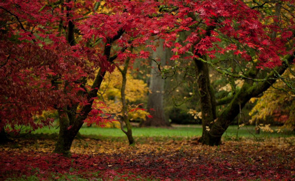 Best places to visit in Europe in autumn where to see the most