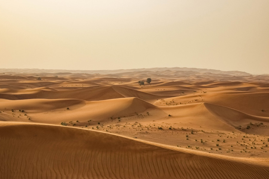 Taking a Desert Safari in Dubai is one of the cool things to do on your Dubai trip. Discover how to explore Dubai from this article