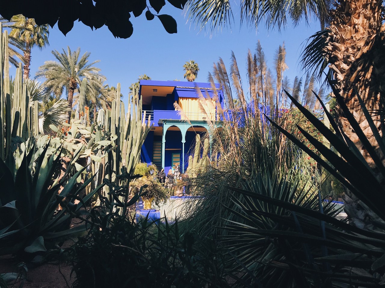 Majorelle Gardens, Marrakech. Discover the best places to see in Marrakesh from this article