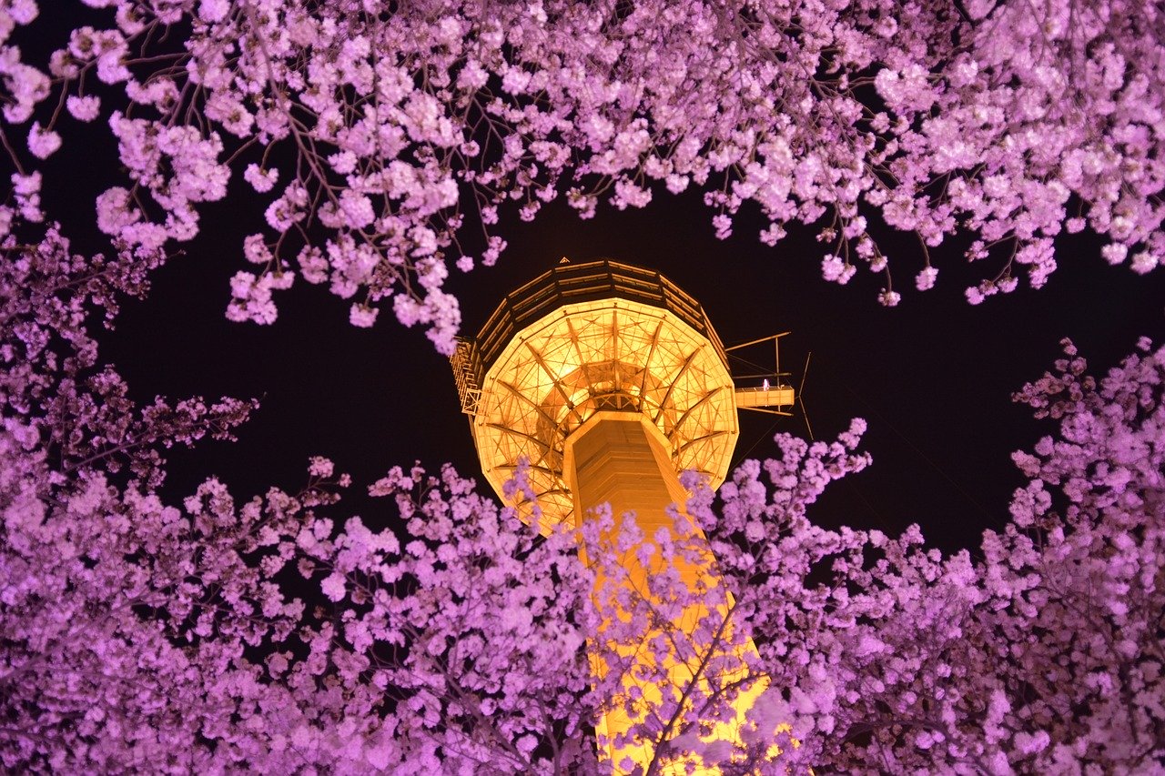 Traveling to South Korea - information about South Korea visa and South Korea evisa