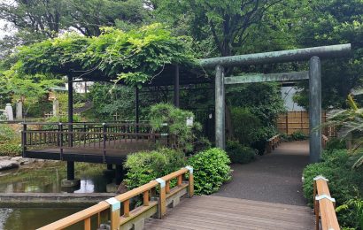 Off The Beaten Path Things To Do In Tokyo You Won’t Want To Miss