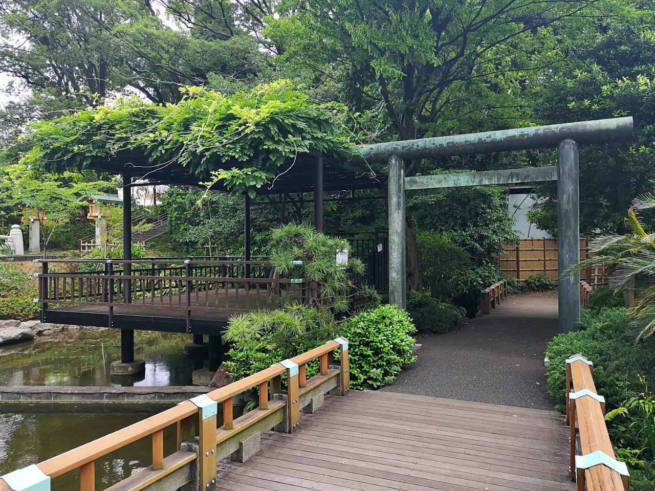 Tōgō Shrine is one of the best off the beaten path places to visit in Tokyo. Discover more unique experiences in Tokyo, Japan from an insider from this article. #japan #tokyo #tokyothingstodo