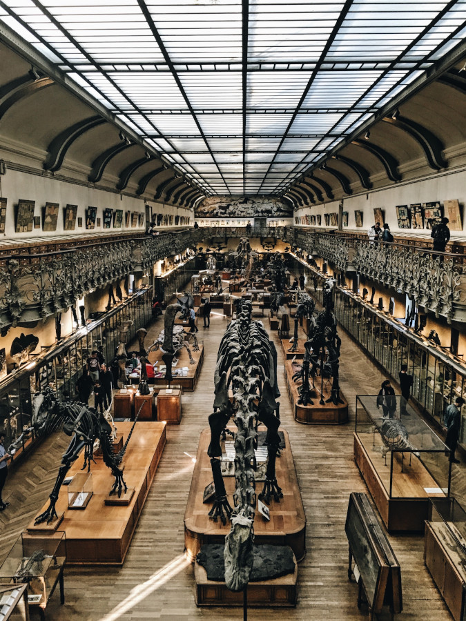 The Oxford Natural History Museum is one of the best places to visit in Oxford. Make sure you include it on your Oxford itinerary