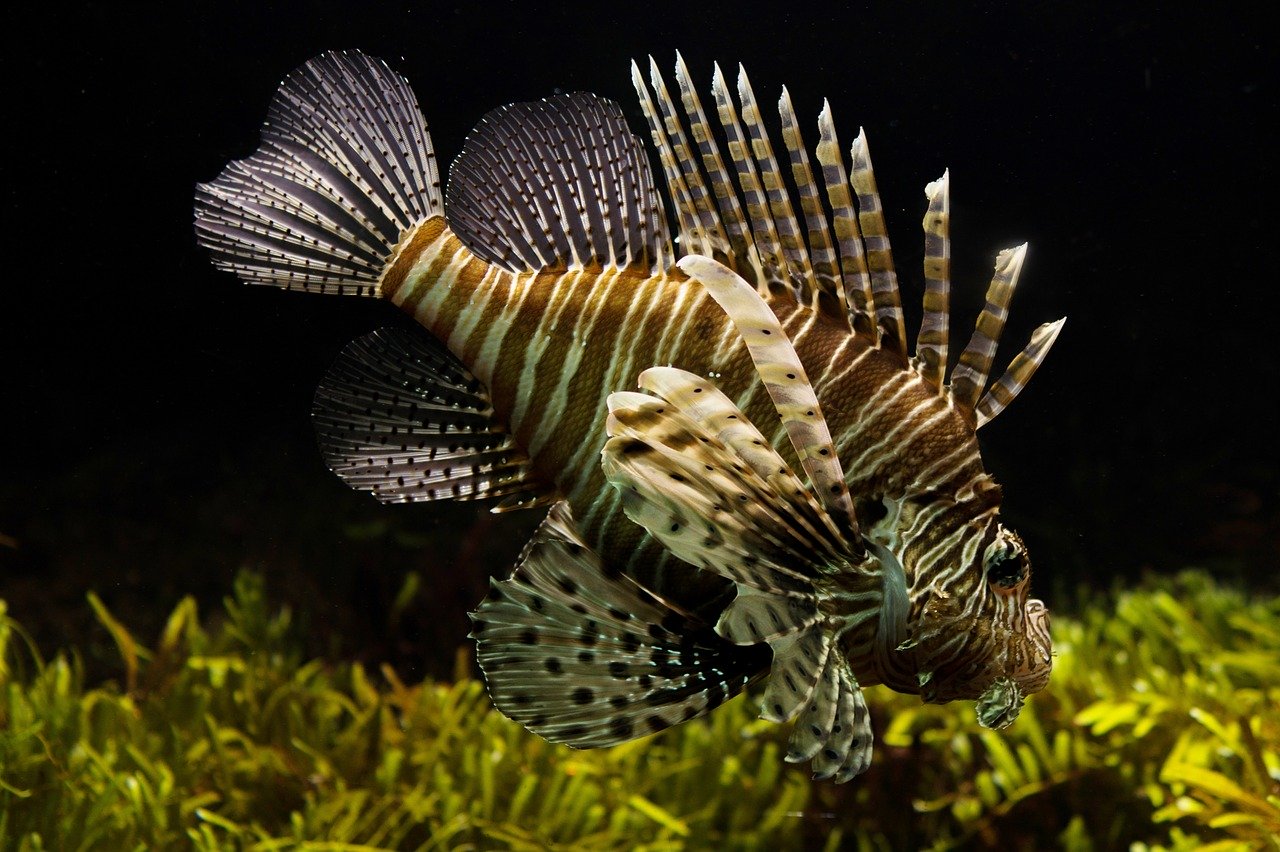 Newport Aquarium is one of the best places to visit in Cincinnati