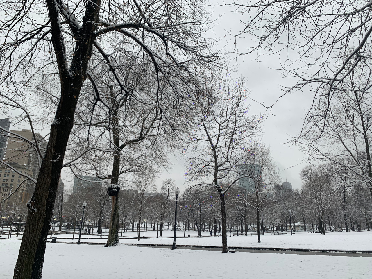 Boston winter - discover when to visit Boston, information about Boston weather, 25 great Boston restaurants and the Boston points of interest from this article