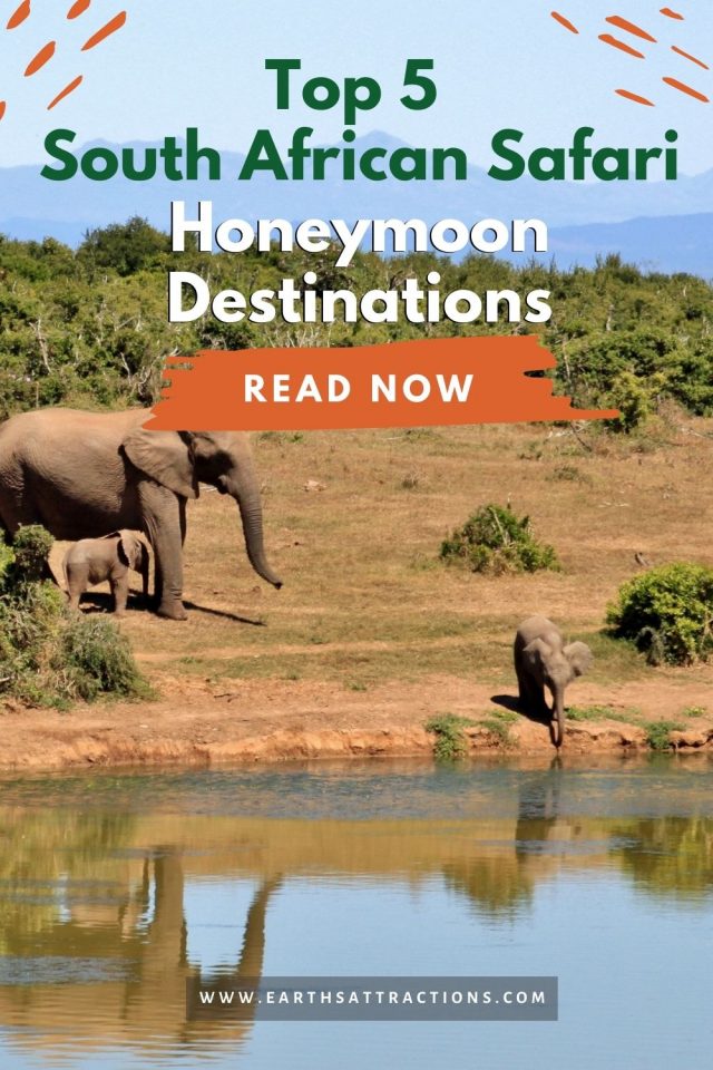South African Safari Honeymoon The Best Destinations Of 2021 Earth