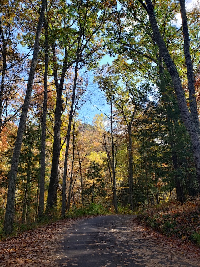 The Roaring Fork Motor Nature Trail