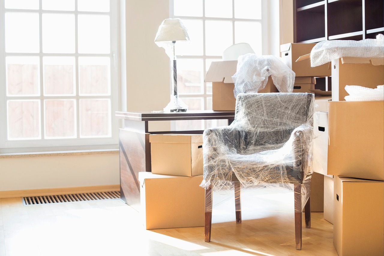 How to Move Heavy Furniture by Yourself  – Earth’s Attractions