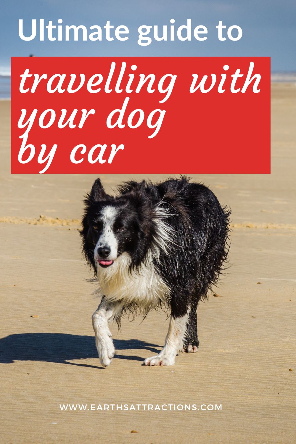 Tips for taking a road trip with your dog. The ultimate fuide to travelling with your dog by car! Dog travel essentials, tips and more. #dogtravel #dogtraveltips #cardogtravel #pettravel #pettraveltips #traveltips #roadtrip