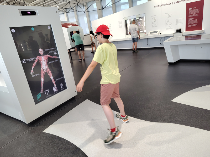 Deutsches Museum - See your muscles, bones, arteries and veins in action
