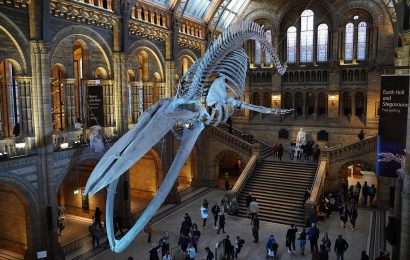 Dinosaurs, Vikings, Submarines & More: 30 NON-Art European Museums You Can Visit Online for FREE