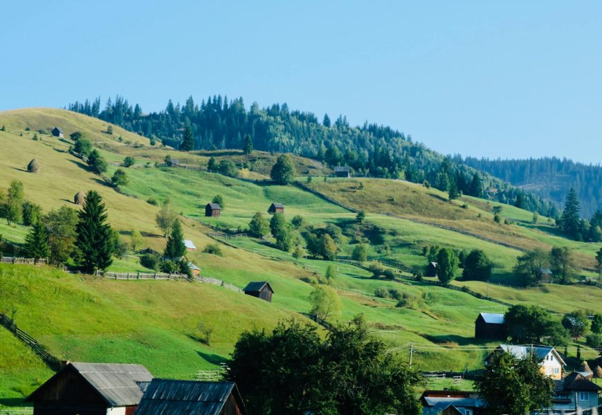 Unplug & Rewild: How Regenerative‑Farm Escapes Are the Wellness Trips You’ve Been Craving