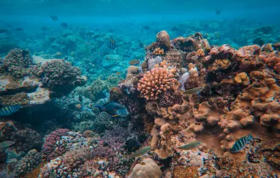 Is It Too Late? 8 Fragile Wonders You Need to Visit Now