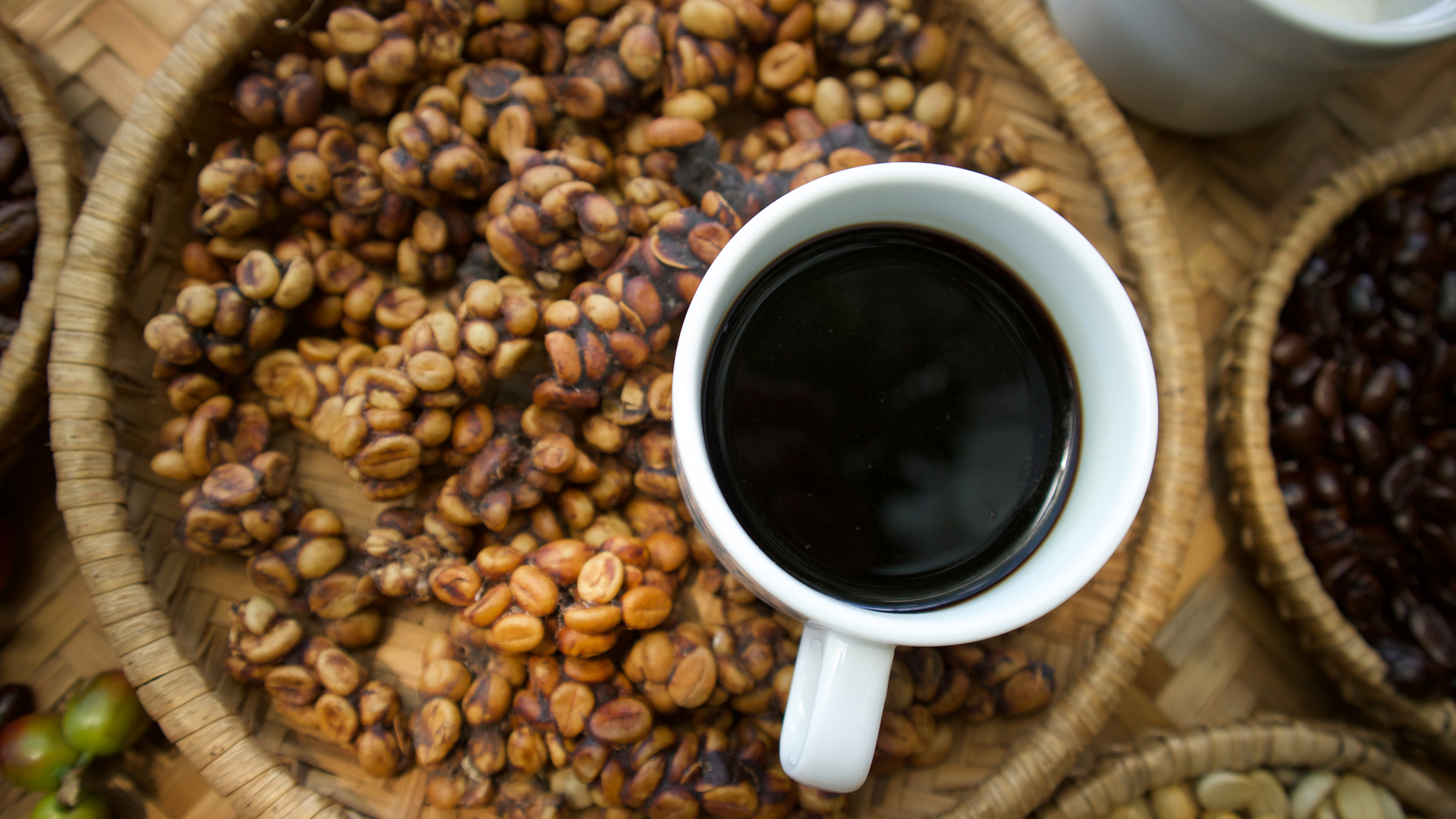 Kopi Luwak Coffee – Beans eaten and excreted by civets, then brewed into expensive coffee