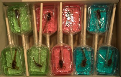 Travelers Are Buying What?! 50+ of the Strangest Souvenirs Ever Made