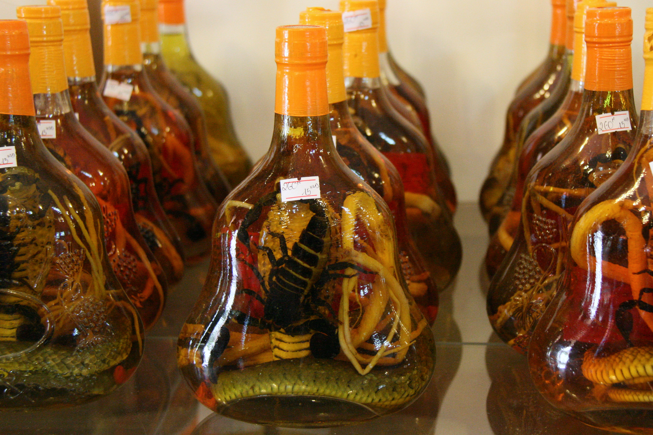  Liquor bottle with snakes and scorpions inside in North Vietnam 