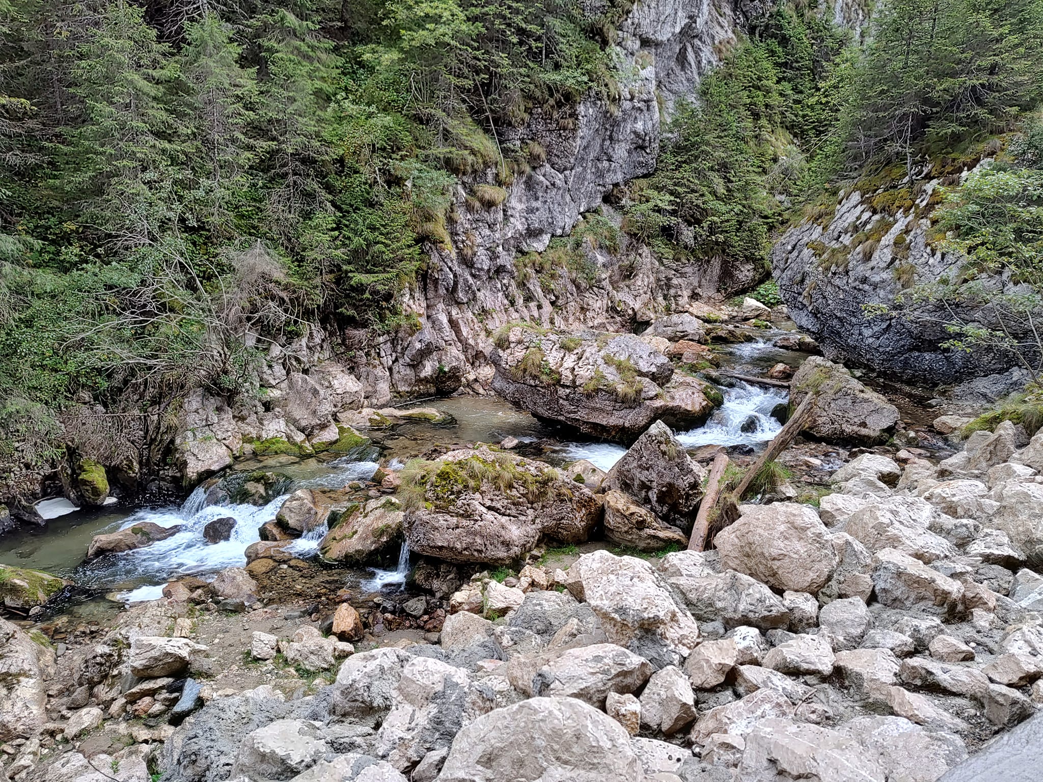 Stress-Renfanning Vacations atténuant la cascade de la nature
