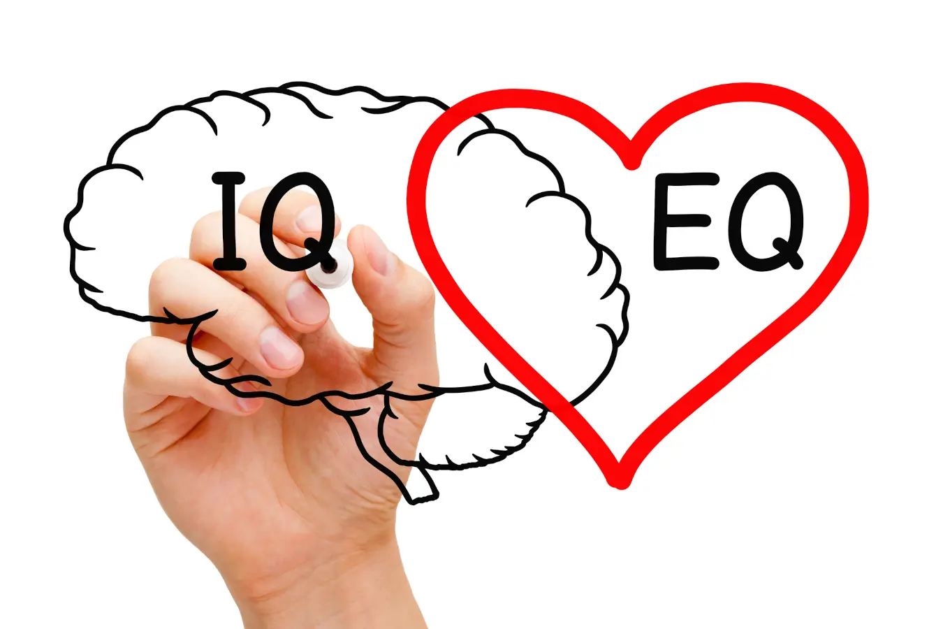 signs of high emotional intelligence