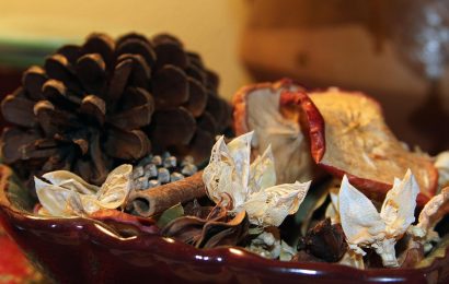 autumn décor - things to do in November activities ideas