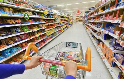 People Are Traveling the World Just to Visit Supermarkets (And It Actually Makes Sense)