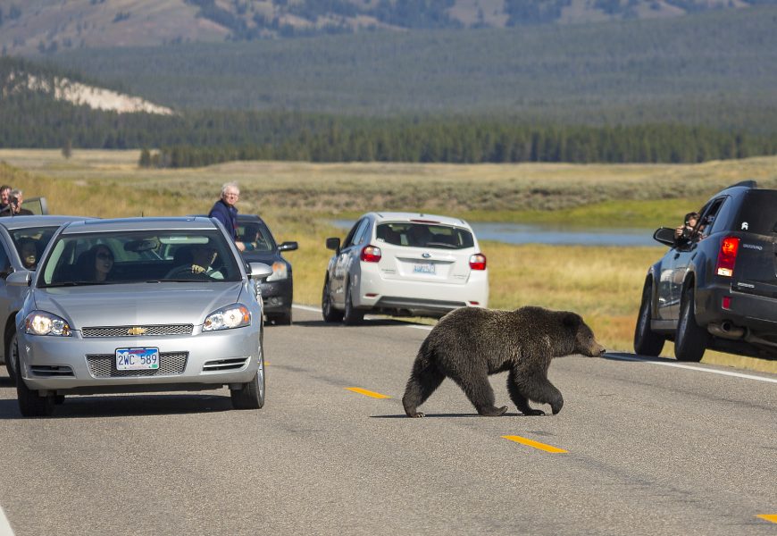 Tourist Sparks Outrage for Viral Photo – and This Is Where It Keeps Going Wrong