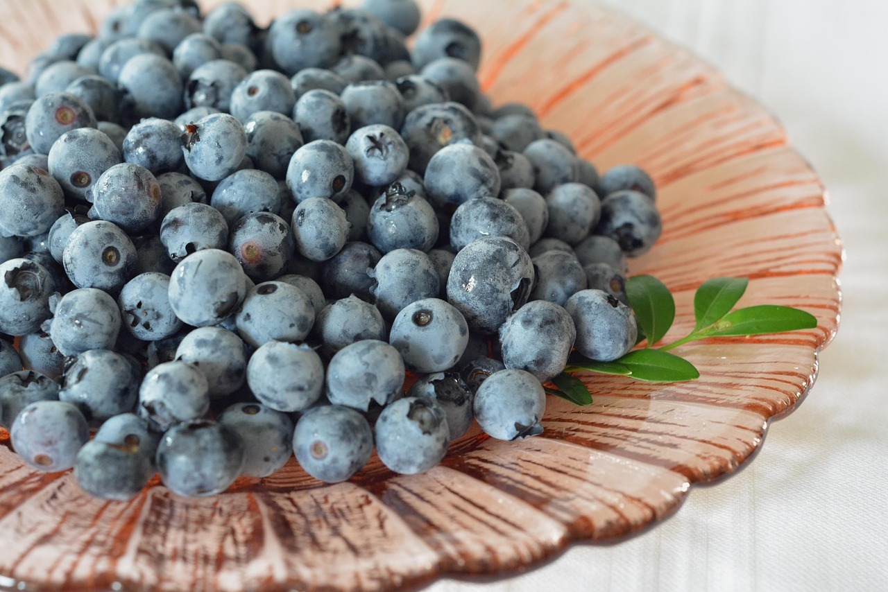 brain food Blueberries