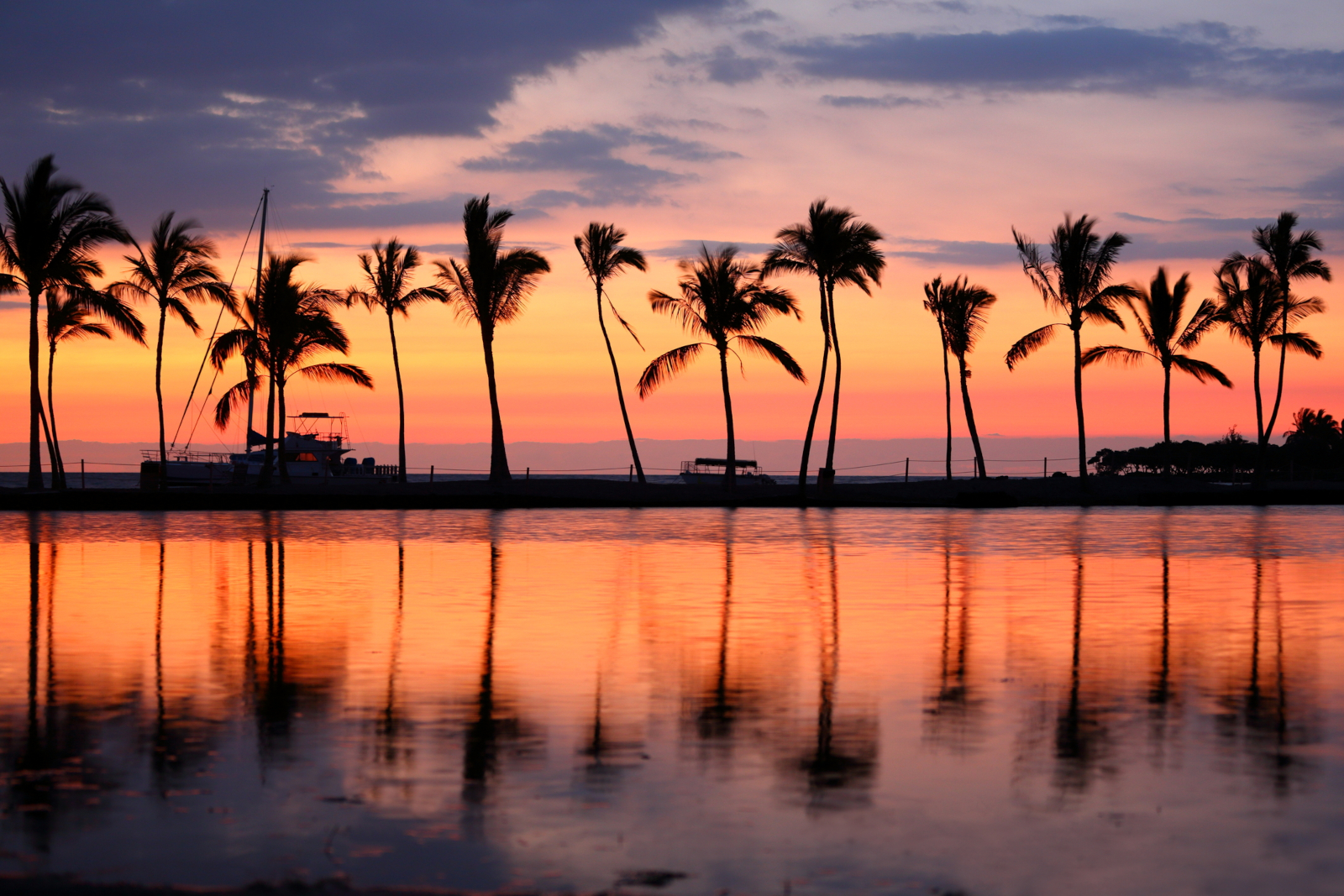 Tropical beach sunset with palm trees for a trip budget article about hidden travel expenses