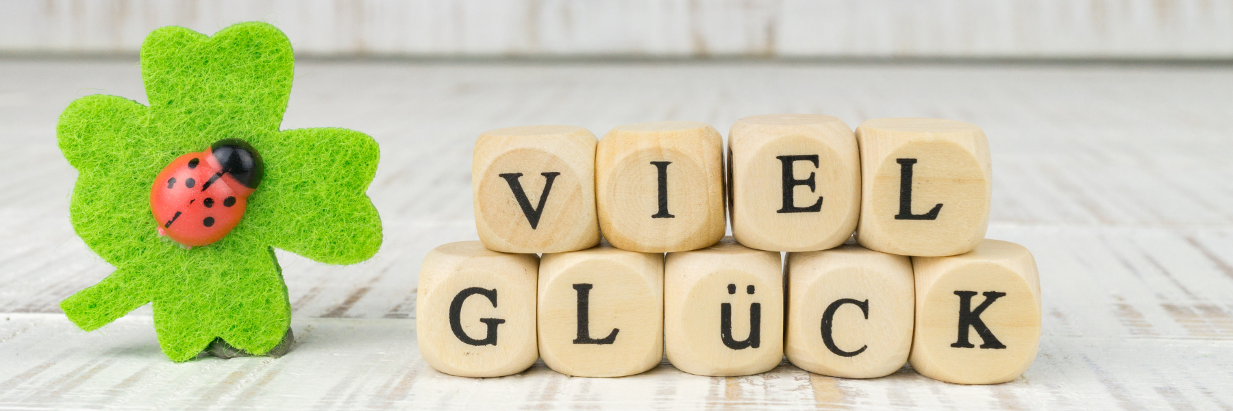 Viel Glück written in German with a four-leaf clover and ladybug German Proverbs About Money, Luck, and Opportunity