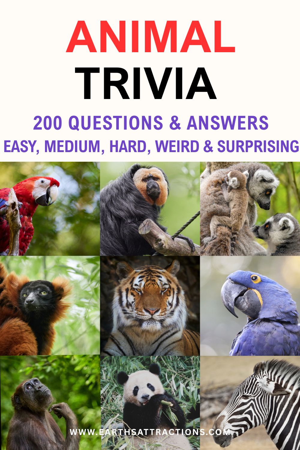 200 Animal Trivia Questions and Answers - Easy, Hard, Weird & Surprising. How much do you really know about the animal kingdom? Test yourself with 200 animal trivia questions and answers, starting with easy and medium questions before moving into hard, weird and surprising animal trivia. Discover fascinating questions about mammals, birds, reptiles, marine animals, insects, animal behavior, unusual adaptations and more. Great for adults, families, older kids, trivia night or anyone who loves a good animal quiz. Save it for your next game night and see how many of the 200 you can answer! #AnimalTrivia #AnimalTriviaQuestions #TriviaQuestions #AnimalQuiz #TriviaNight #AnimalFacts #Trivia Pin made with a photo from Dreamstime