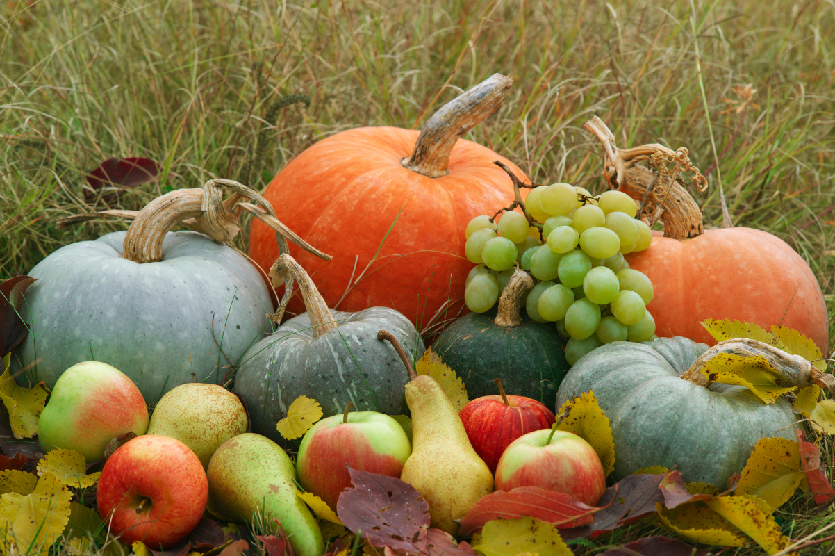 Fresh harvested fruits and vegetables for October food trivia
