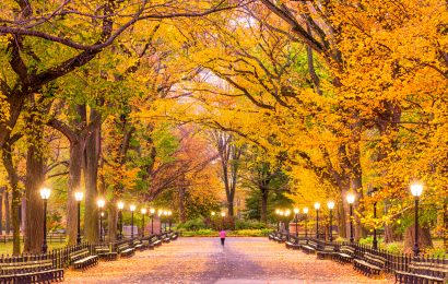 200 Fall Trivia Questions and Answers (Easy, Medium & Hard) 200 Fall Trivia Questions and Answers (Easy, Medium & Hard)