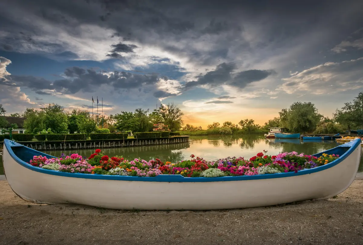 Boat filled with flowers in an iconic beautiful sunset landscape over the Danube Delta in Gura Portitei, Romania. 