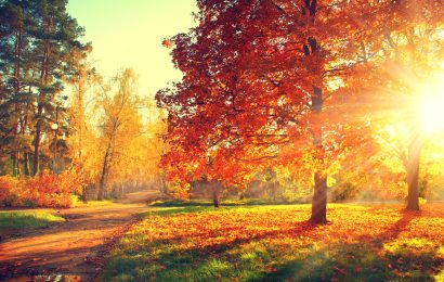 19 Surprising Facts About Fall That Sound Made Up – But Are Actually True 19 Surprising Facts About Fall That Sound Made Up – But Are Actually True