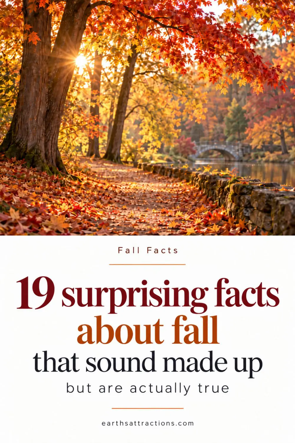 19 Weird Fall Facts About Autumn That Sound Made Up - But Are Actually True. Looking for weird fall facts that go beyond pumpkins and changing leaves? These 19 surprising facts about autumn include squirrels that fake-bury food, chickadees whose brains change in fall, monarch butterflies that live far longer than summer generations, strange equinox effects, autumn attraction research, Harvest Moon surprises and more. A fun collection of unusual fall facts about nature, history, science and seasonal traditions that sound made up - but are actually true. Save it for fall reading, autumn inspiration or seasonal fact lovers. #FallFacts #AutumnFacts #FallSeason #AutumnLovers #SeasonalFacts