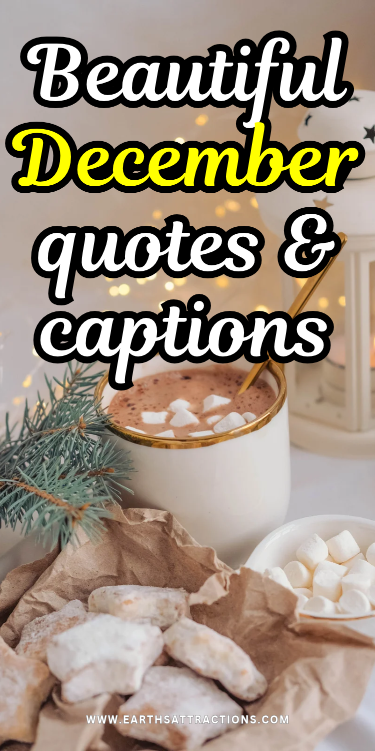 December Captions: Beautiful, Short & Aesthetic Quotes. Looking for December captions and beautiful quotes for your photos? Discover short December quotes, aesthetic December sayings, cozy winter captions, funny lines and inspirational messages for Instagram, Facebook and Pinterest. Find the perfect words for your December mood!